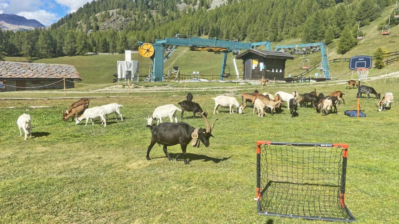 Locanda Ristorante Bar Del Lago Chamois Buitenkant foto